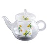 Arita Ware KA-200 Celand Glass, Fashionable Pot, Birthday Flowers, November,