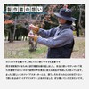 Tokyo Camp Ignite Tower, Fire Starter, Easy Ignition, Ferrocerium, Hexa-Shaped,
