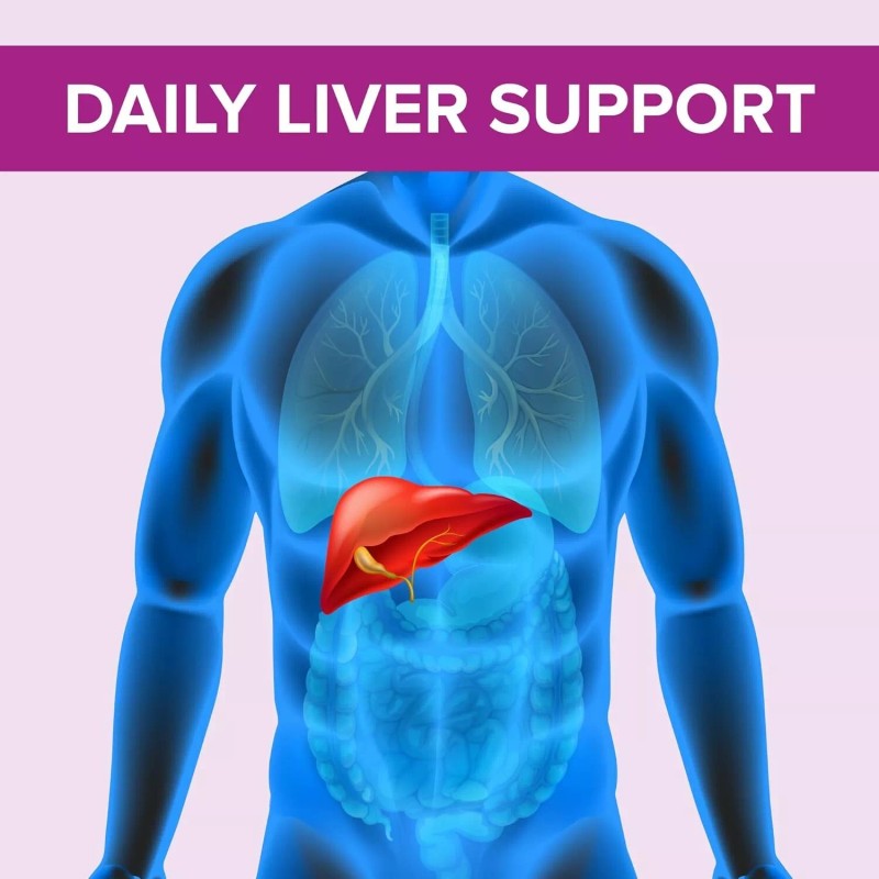 Milk Thistle Supplement Capsulas De Cardo Mariano para Desintoxicar Y