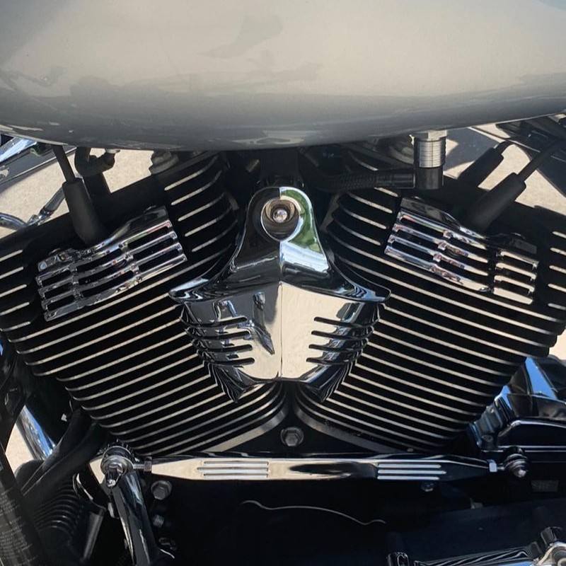 HDBUBALUS Slotted Spark Plug Chrome Head Bolt Covers for Harley