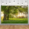 Leowefowa 5x3ft Spring Backdrop Rural Forest Trees Backdrops for Photography