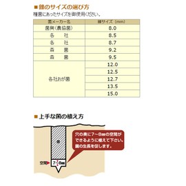 Onishi Kogyo Shiitake Mushroom Cones <Ultra High Speed High Speed Cone>(NO.35) 0.37 inches (9.5 mm)