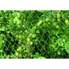 Floraworld Comfort 010901 Bird Netting Green 500 x 400 x