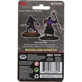 Nolzur's Marvelous Miniatures Wizkids - D&D Kenku Adventurers -WZK73840
