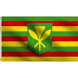 DMSE Kanaka Maoli Hawai’i Hawaii King Kamehameha Native Hawaiian Flag 2X3 Ft Foot 100% Polyester 100D Flag UV Resistant (2' X 3' Ft Foot)