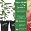 Wekiva Foliage Pomegranate Variety Pack - 4 Live Starter Plants