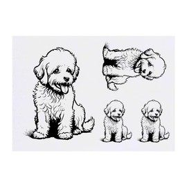 4 x 'Cavapoo Dog Sitting' Temporary Tattoos - Water Resistant, Skin-Safe, Non-Toxic Transfers, Mixed Sizes (TO00071318)