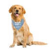 Drinking Buddy Dog Bandana, Drinking Buddy Dog Shirt, Funny Cute