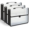 3 Pieces A3 11 x 17 inch Expandable File Folder