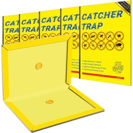 Loocaa 10 Pack Sticky Traps Boards - Multi-Use Pests Sticky Trap Pads for Indoor Outdoor Garden Kitchen Office