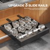 Seinloes 2Pack Expandable Pull Out Cabinet Organizer 21"Deep with Raising
