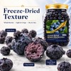 Freeze-Dried Whole Blueberries (6.6 oz / 187g) - Natural Crunchy