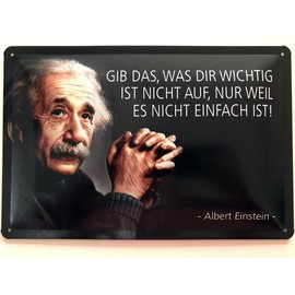 Metal Sign 20 x 30 cm Gib das was dir wichtig ist nicht Quote Einstein Saying Tin Sign