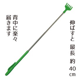 FIN-1016GN Telescopic Ladder, Pumpo