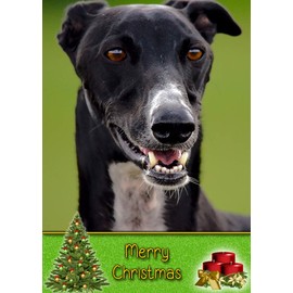 Greyhound Dog Christmas Card 'Merry Christmas' - Special Animal Xmas Card for Him Her from Pets Kids