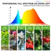 FECiDA FECiDA Grow Lights for Indoor Plants Full Spectrum, Desk
