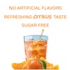 Crystal Light Citrus On-The-Go Powdered Drink Mix with Caffeine, 10