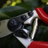 Siena Garden Premium Bypassschere, Gartenschere, Rosenschere, mit Rollgriff, 691518