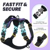VIVAGLORY Easefit No Pull Dog Harness with Handle & Front