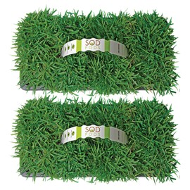 SodPods® Zoysia Grass Plugs for Lawn Repair, 3" x 3" Each (16-Count) – Cannot Ship to California/Arizona