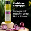 VITASEI Shampoo Kerabless With Onion And Tumeric - Hair Revitalizing