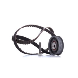 INA 530 0149 10 Timing Belt Set