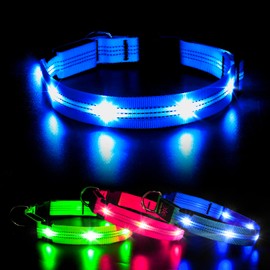 BSEEN Light Up Dog Collar, Reflective LED Pet Collar Rechargeable Adjustable Puppy Necklace High Visibility Dog Lights for Night Walking (Blue-II, Large)