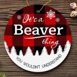 Christmas Tree Ornament 2024 with City Beaver Ornament - It's a Beaver Thing You Wouldn't Understand - Plastic Round Decoration Ornament 3" Keepsake Christmas Tree Decor Hometown