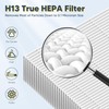 Improvedhand HPA300 HEPA Filter Replacement for Honeywell Air Purifier HPA304