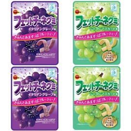 Fettuccine Gummi Set 1.8oz 2Types × 2pcs Japanese Hard Gummy Candy Bourbon Ninjapo