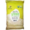 McCabe Organic Pressed Barley - Whole Grain Rolled Barley |