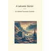 A Labrador Doctor