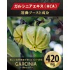 ホットバーン ガルシニア 420mg ブラックジンジャー 120mg エラグ酸 3.1mg ダイエットサプリ HOTBURN 180錠