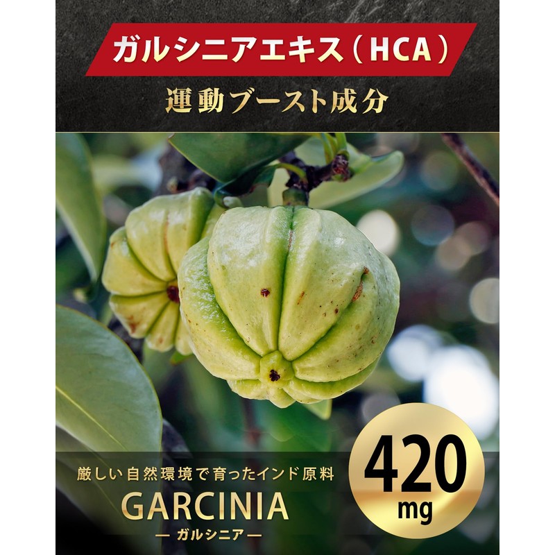 ホットバーン ガルシニア 420mg ブラックジンジャー 120mg エラグ酸 3.1mg ダイエットサプリ HOTBURN 180錠