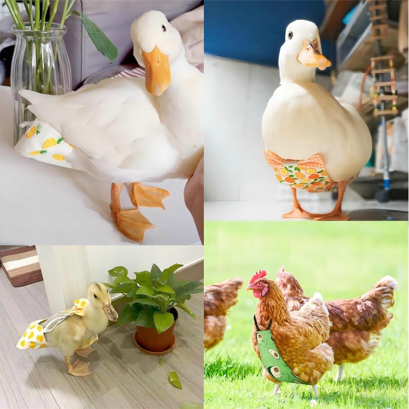 Generic 6 Pieces Chicken Diapers for Hens, Diapers for Pet