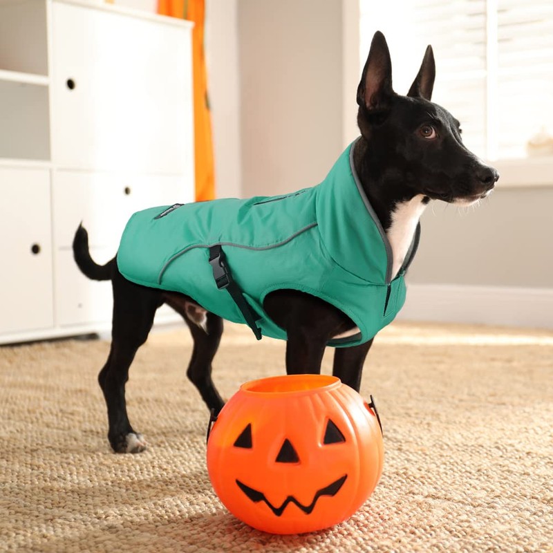 EMUST Winter Dog Jacket, Windproof Dog Apparel for Cold Weather,