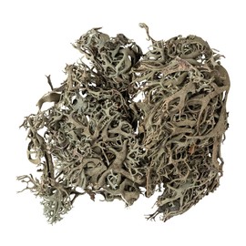 Rayher Lichen Moss, Grey Moss, Bag 20 g, Grey/Green Colour, Dried and Prepared Natural Moss, 85492000