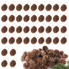 40 Pcs Natural Small Christmas Pine Cones - Pinecones for Crafts, Bulk Pine Cone Ornaments with Strings for Decorating Wreath Garlands DIY Gift Tag Fall Xmas Tree Wedding