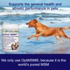 Ultra-Pure MSM for Dogs, Cats & Horses, Supports Hip, Joint