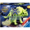 Ravensburger 18026 Science X Micros Glow in The Dark -