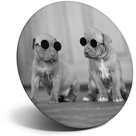 Destination Vinyl ltd Magnet for Refrigerator, Fridge BW - Cute Puppies in Sunglasses Dog for Office, Cabinet and Whiteboard, Magnetic Stickers, 43828