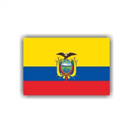 Womaha 30 Sheets Ecuador Flag Temporary Tattoos World Cup European Cup Football Face Tattoo Stickers