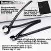 LEONTOOL Bonsai Tool Set - 8" Concave Cutters and 8"