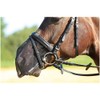 Busse Nostril guard FLY PROTECTOR - WB, black