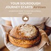 Sourdough Home with Window, Sourdough Starter Home with 41-122°F Accurate