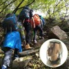 2PCS Midge Head Net Face Net Mesh Nylon Mosquito Head