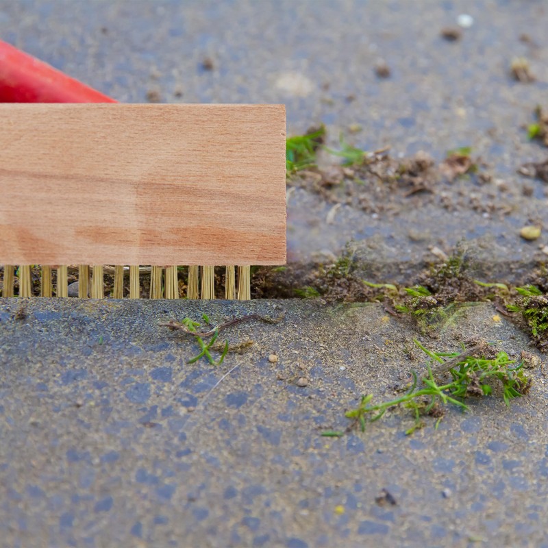 Relaxdays Grout Brush, Set of 6, Weed & Moss Removal,