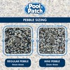 Pool Patch Pool Pebble Repair Kit, 3-Pound, Aqua Blue Regular