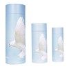 Scattering Ashes Urn, Eco-friendly Biodegradable Cremation Urn Scatter Tube (Flying