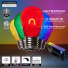 Wintergreen Lighting FlexFilament S14 LED Edison Light Bulbs Bistro Lights,